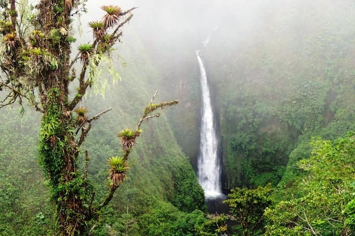 Nature-Adventure tour from San Jose